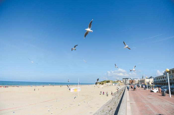 Appartement Lumineux, 400M De La Plage. Berck Eksteriør bilde